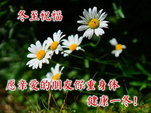 早安爆料大蘑菇视频,早安爆料视频背后的惊人真相  第1张 早安爆料大蘑菇视频,早安爆料视频背后的惊人真相  第1张