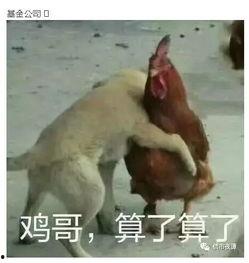 鸡哥早期爆料图片高清视频,高清图片与视频背后的故事  第2张 鸡哥早期爆料图片高清视频,高清图片与视频背后的故事  第2张