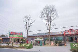 德阳最新爆料,揭秘城市背后不为人知的秘密  第3张 德阳最新爆料,揭秘城市背后不为人知的秘密  第3张