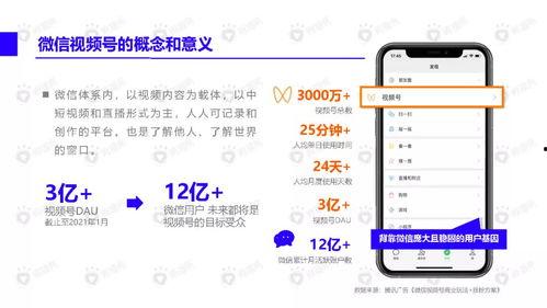 文安网友爆料视频大全下载,精彩瞬间一网打尽  第3张 文安网友爆料视频大全下载,精彩瞬间一网打尽  第3张