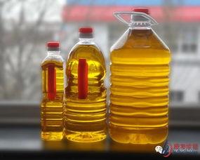 劣质食用油爆料标准最新,最新爆料标准曝光,食品安全警钟长鸣